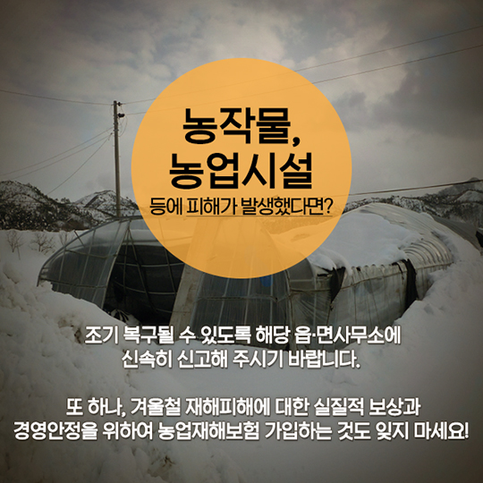 겨울철 재해 예방법
