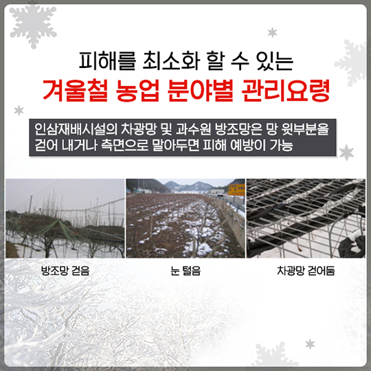 겨울철 재해 예방법