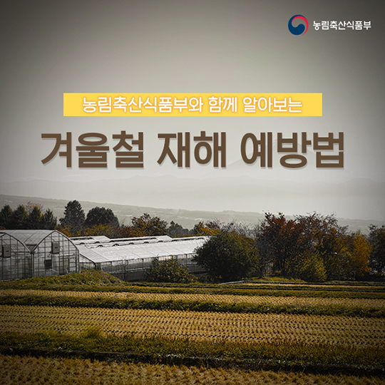 겨울철 재해 예방법