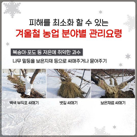 겨울철 재해 예방법