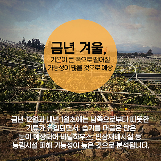 겨울철 재해 예방법
