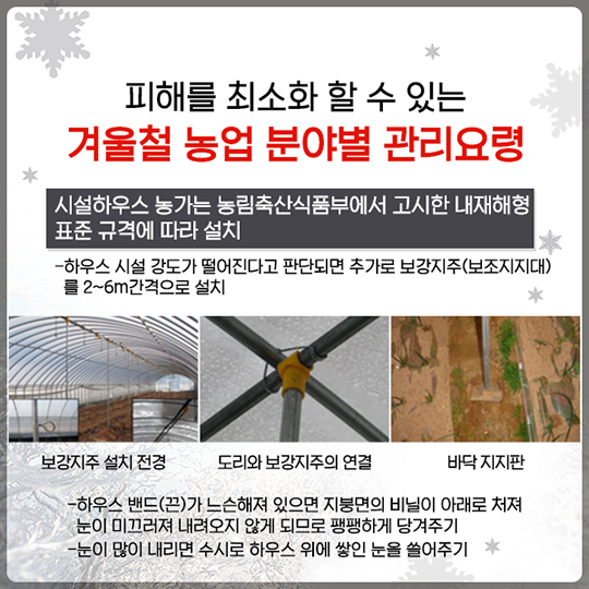 겨울철 재해 예방법