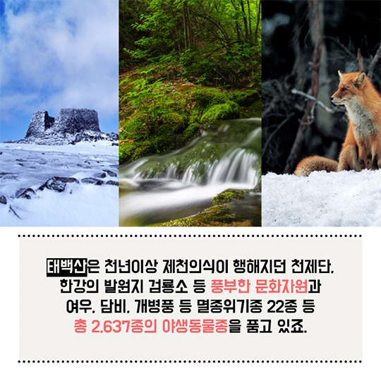 22번째 태백산국립공원