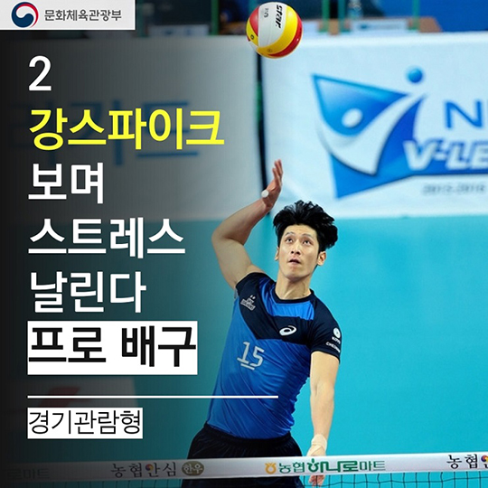 2017학년도 수험생을 위한 혜택 체육편