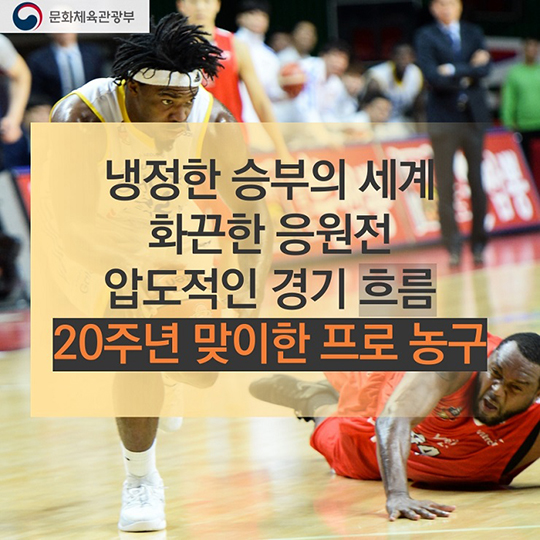 2017학년도 수험생을 위한 혜택 체육편