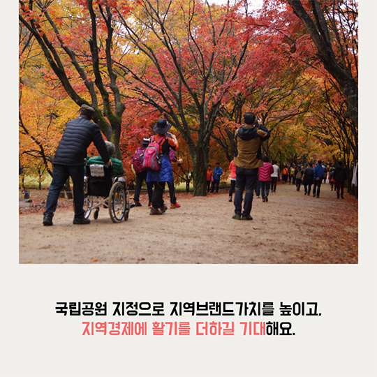 22번째 태백산국립공원