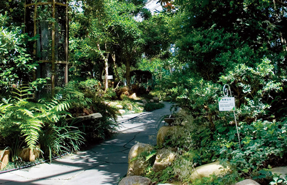 해발 550m에 자리한 가야산 야생화식물원 온실 내부 전경. (사진=가야산야생화식물원)