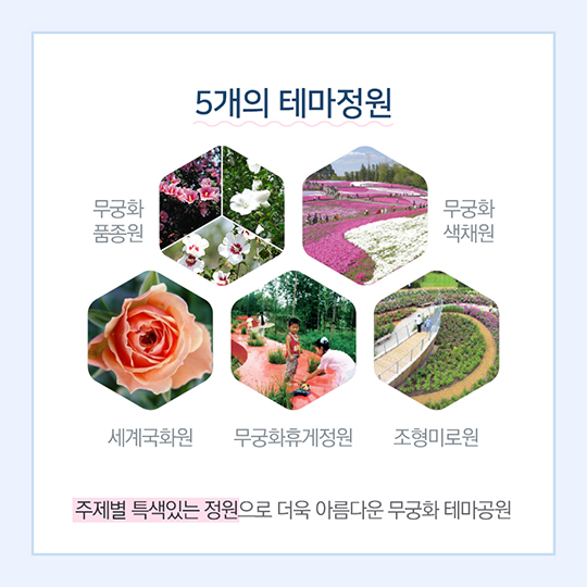 행복도시 무궁화테마공원, 본격 추진