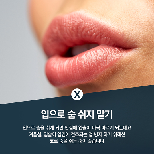 생활발명 꿀팁-겨울철, 입술 관리법