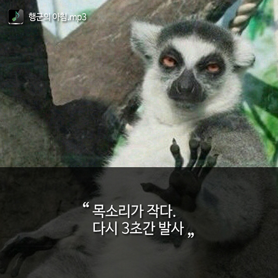 군대의 흔한 겨울 아침