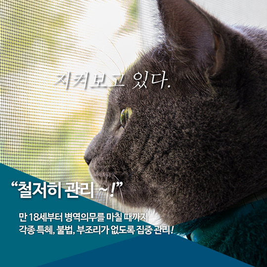 공직자 등 병적관리 제도