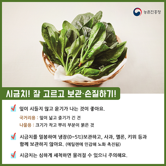 알고 먹으면 더 맛있는 시금치