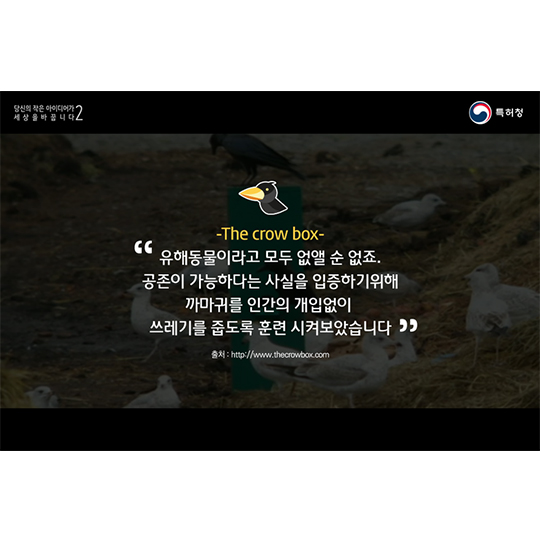 당신의 아이디어-The crow box
