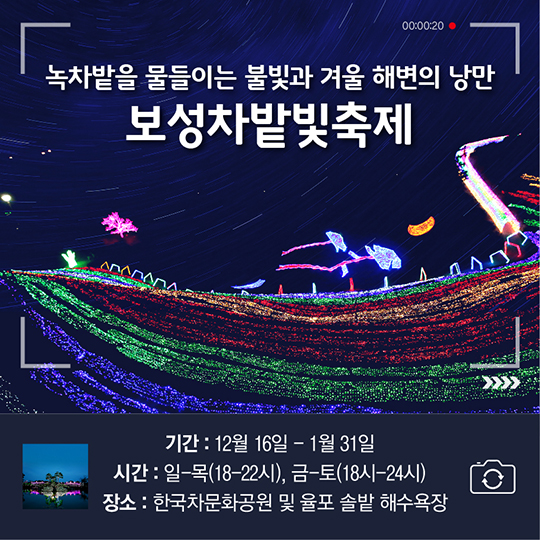 전국 불빛축제 BEST 4