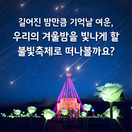 전국 불빛축제 BEST 4