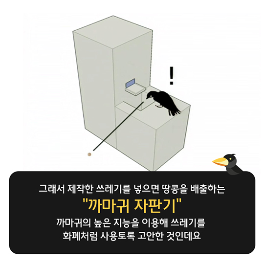 당신의 아이디어-The crow box