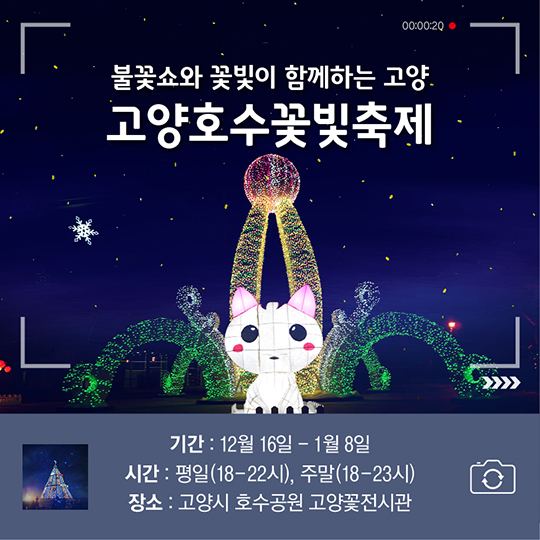 전국 불빛축제 BEST 4