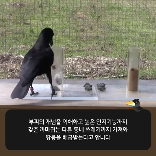 당신의 아이디어-The crow box