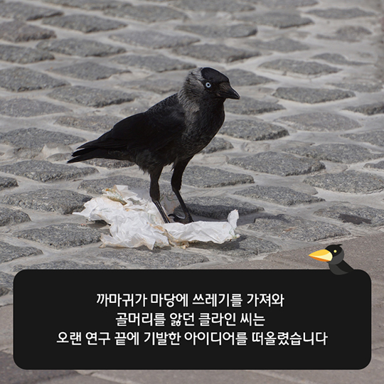당신의 아이디어-The crow box