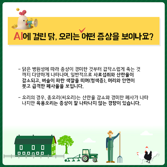 조류인플루엔자, 무엇이든 물어보세요!