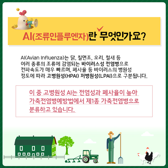 조류인플루엔자, 무엇이든 물어보세요!