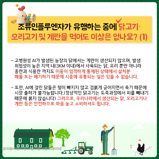조류인플루엔자, 무엇이든 물어보세요!