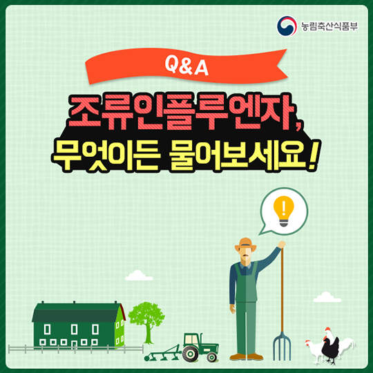 조류인플루엔자, 무엇이든 물어보세요!