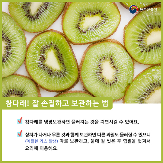 알고 먹으면 더 맛있는 참다래