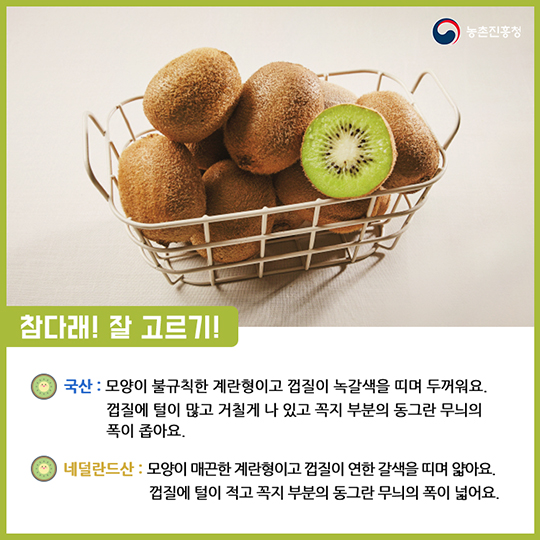 알고 먹으면 더 맛있는 참다래