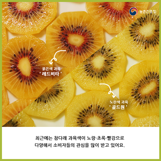 알고 먹으면 더 맛있는 참다래