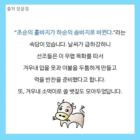 소설이 왔어요
