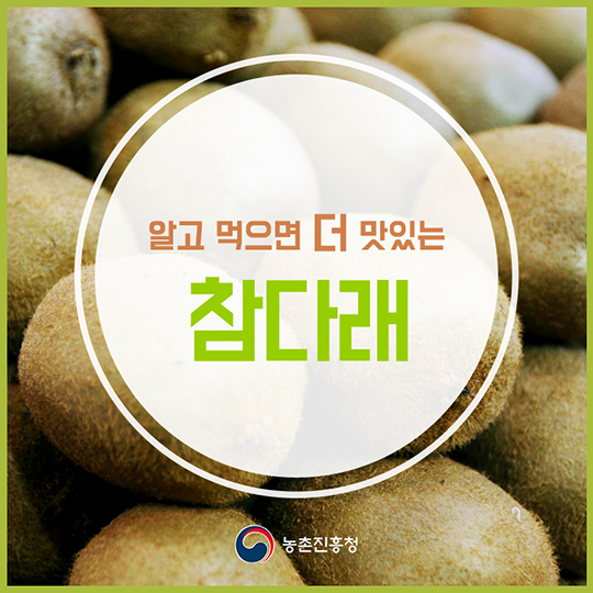 알고 먹으면 더 맛있는 참다래