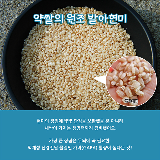 약(藥)쌀이라 불러다오