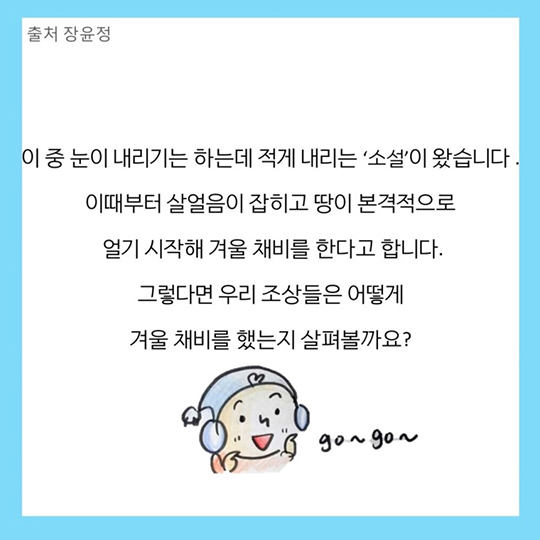 소설이 왔어요