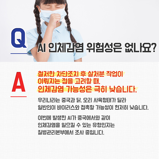AI 궁금증을 풀어드립니다!