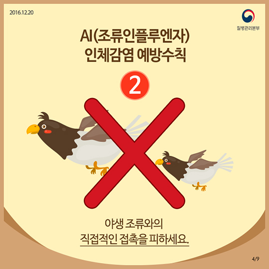AI 인체감염, 정확히 알면 예방할 수 있어요!