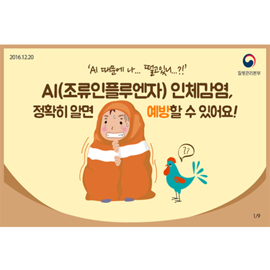 AI 인체감염, 정확히 알면 예방할 수 있어요!