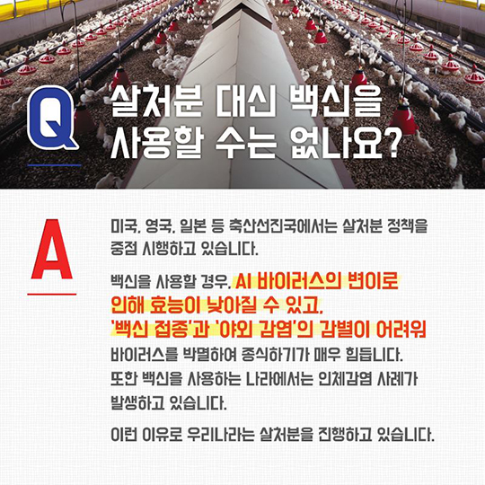 AI 궁금증을 풀어드립니다!
