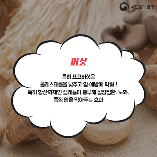 12월 슈퍼푸드