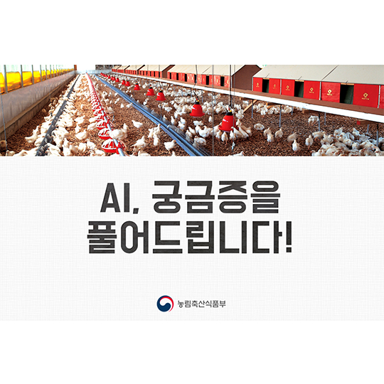 AI 궁금증을 풀어드립니다!