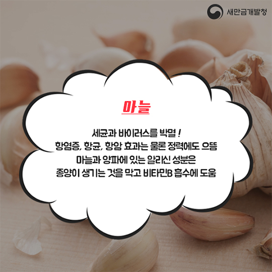 12월 슈퍼푸드