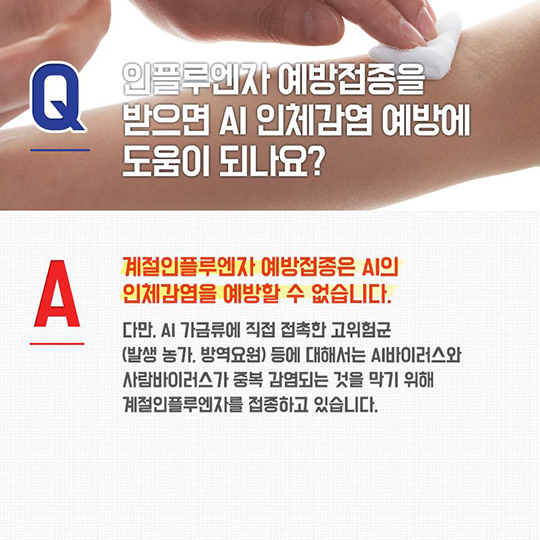 AI 궁금증을 풀어드립니다!