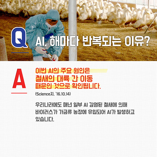 AI 궁금증을 풀어드립니다!