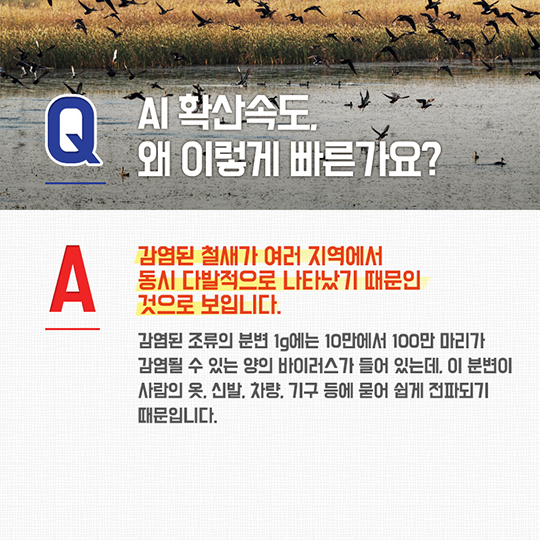 AI 궁금증을 풀어드립니다!