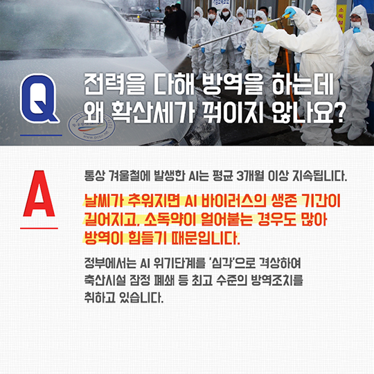 AI 궁금증을 풀어드립니다!