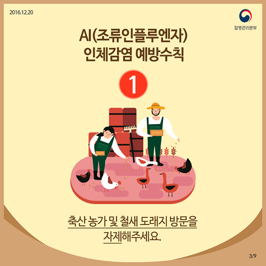 AI 인체감염, 정확히 알면 예방할 수 있어요!