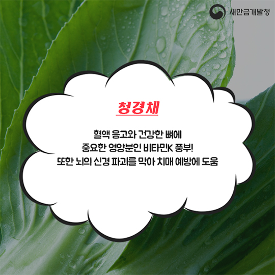 12월 슈퍼푸드
