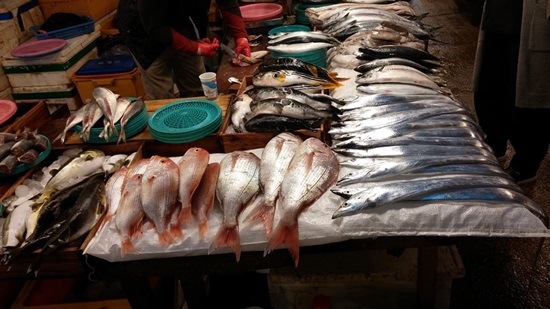 제주산 옥돔과 칼치