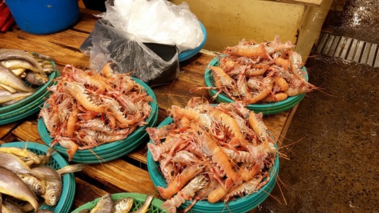 제주근해에서만 잡힌다는 딱새우