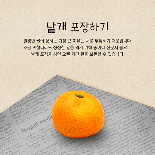 겨울철 대표 간식 귤 보관법